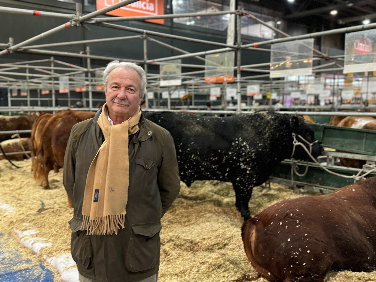 Concurso de novillos y block test en la Expo Rural 24 - Campo Para Todos
